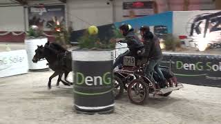 Indoor Nijkerk 2023  Dexter Biersteker  Winnaar Tweespan Pony Finale [upl. by Odlavu]