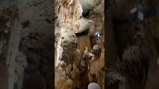 Natural Bridge Caverns crawl space cave texas [upl. by Aenneea]