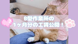 うつの1ヶ月の工賃公開🎀🩵ྀི購入品紹介☁️ྀི 【B型作業所】 [upl. by Einahets]