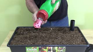 The Start Pickin SelfWatering Raised Bed Grow Box  A Product Demo [upl. by Grand396]