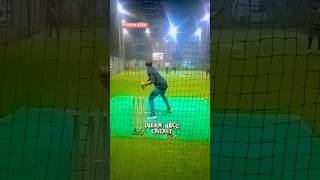 Bad filding Runout missed cricket viralshort youtubeshorts [upl. by Kliman]