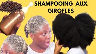 SHAMPOOING AUX GIROFLES POUR LA POUSSE DES CHEVEUX [upl. by Nylrats]