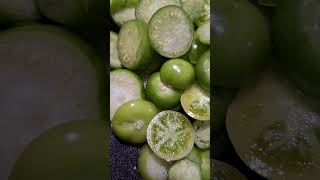 Fresh tomatillos from the garden fall harvest health cooking gardening [upl. by Ocirred]