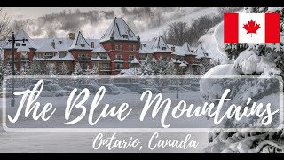 The Blue Mountains Ontario Canada [upl. by Anaher]