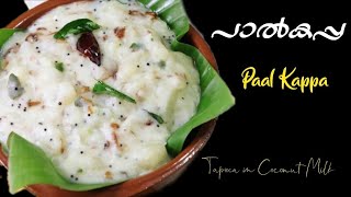 പാൽ കപ്പ  Paal Kappa  Tapioca in coconut Milk [upl. by Aikyn]