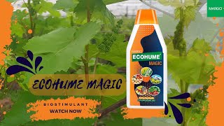 EcohumeMagic for Vineyards  The Biostimulant from MARGO [upl. by Maleeny967]