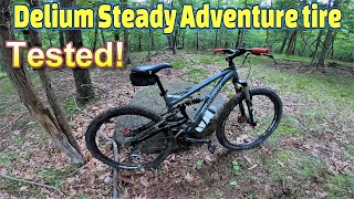 Delium Steady bike tire REVIEW Gravity FSX 10 MULLET BIKE BABY [upl. by Ieso139]