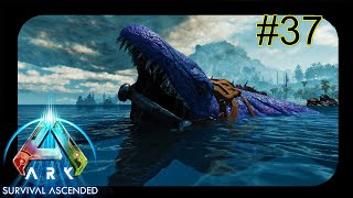 Addomestichiamo il Mosasaurus lArchelon e breve guida sulle mod  Ark Survival Ascended ep 37 ita [upl. by Esiahc518]