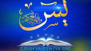 SURAH YASEEN YASIN PART 1040 [upl. by Skier491]