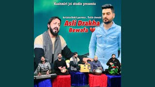 Asil Drakha Bewafa [upl. by Faires]