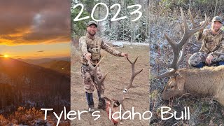 2023 Idaho Bull Elk  Tylers Bull [upl. by Halehs]