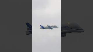 Airbus BELUGA XL6  On the day of its FIRST VISIT to LONDON HEATHROW belugaxl airbus firstvisit [upl. by Alleynad]