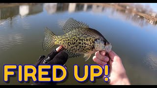 Illinois Crappie Fishing  Late Winter is on FIRE [upl. by Noman]