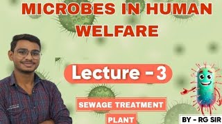 SEWAGE TREATMENT PLANT CLASS 12 MICROBES IN HUMAN WELFARE LECTURE 3 [upl. by Bushweller]