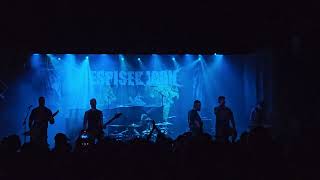 Despised Icon  MVP Live In Stockholm 27112024 [upl. by Aisatana]