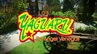 Los Yaguarú de Ángel Venegas  Que Ironía Musical [upl. by Susi]