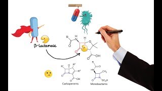 Pharmacology – ANTIBIOTICS – CELL WALL amp MEMBRANE INHIBITORS MADE EASY [upl. by Sillyrama]