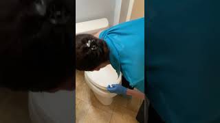 Why Toilets Need Regular Flushing cleaningtips bathroomcleaning [upl. by Asia]