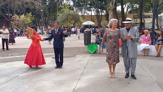 Danzón en la Ciudadela  Ciudad de México [upl. by Ssidnak]