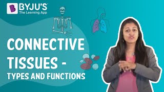 Connective Tissues  Types And Functions I Class 9 I Learn with BYJUS [upl. by Elysia47]