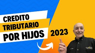 Cuanto Es El Credito Tributario Por Hijos Income Tax 2023 [upl. by Mikahs]