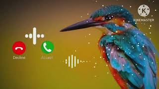 abe yaar message jakar dimag kharab kar diya new 2024 messenger ringtone SMS ringtone tone 😱😱 [upl. by Assetal974]