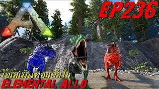 BGZ  ARK Survival Evolved EP236 จับเอเลเมนทอลอัลโลซอรัส Elemental Allosaurus [upl. by Stearn]