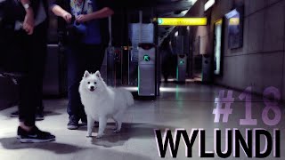 WYLUNDI 18  Chien dans le métro [upl. by Jodoin279]