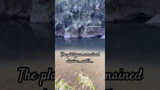 The platypus remained elusive…until… australiannature platypus travelshorts [upl. by Battiste202]