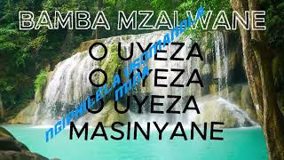 MBAMBA MZALWANE LYRICS [upl. by Annovy]