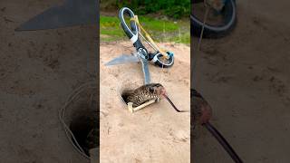 DIY Snake Trap shortvideo pestcontrol shorts [upl. by Ecnatsnoc]