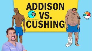 Addisons vs Cushings Disease for NCLEX RN [upl. by Rahmann]