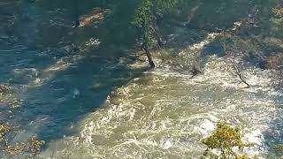 inondations en Ardèche [upl. by Khorma]