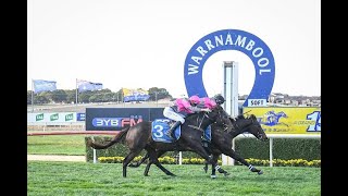 Warrnambool Day 1 Horse Racing Tips 2523 [upl. by Eirrehs790]