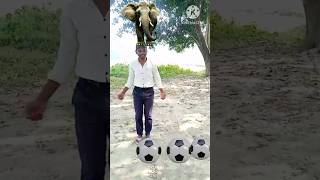 Elephant Hours Lion amp Tiger magic video shorts youtubeshorts ytshots viralvideos [upl. by Dhar]