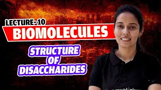 10Oligosaccharides Structure of Disaccharides Carbohydrates Biomolecules NEET lass 11 [upl. by Mickelson]