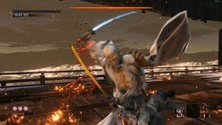 Sekiro  Emma amp Isshin Ashina feat Dragon Flash No Damage [upl. by Ylecic]