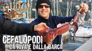 COME PESCHIAMO seppie e calamari dalla barca  Gudoterror [upl. by Severson]