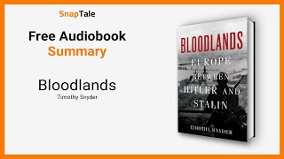 Bloodlands by Timothy Snyder 16 Minute Summary [upl. by Aenil]