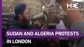 Sudan and Algeria protesters bump into each other in London [upl. by Yetak]