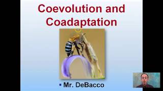 Coevolution and Coadaptation [upl. by Gerty]