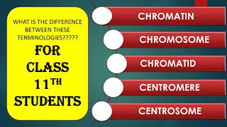 CHROMATIN CHROMOSOME CHROMATID CENTROSOME and CENTROMERE [upl. by Nehtanoj]