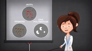 Basics of PCR [upl. by Aseena]