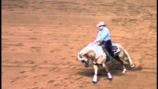 Shiners Voodoo Dr  2010 NRHA Futurity Finals Run [upl. by Llednav]