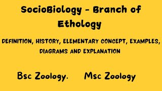 Sociobiology  Branch of Ethology bsczoology msczoology ethology [upl. by Lever]