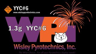 Wisley Pyrotechnics Inc YYC6 100 Shot Firework Cake [upl. by Lorin]