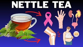 7 scientifically proven benefits of nettle tea [upl. by Harle]