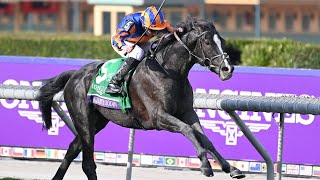 AUGUSTE RODIN wins the Breeders Cup Turf A special horse amp special ride from Ryan Moore [upl. by Fredela]