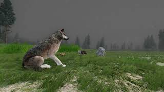 WolfQuest Anniversary Edition  Fanmade Trailer School Project [upl. by Olecram738]