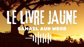 Le Livre Jaune  Livre Audio de Samael Aun Weor [upl. by Yelram772]